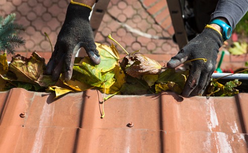 Man removing leaves from clogged gutter during Gutter Cleaning in Bloomington IL
