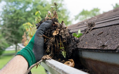 Gutter Cleaning McLean County IL