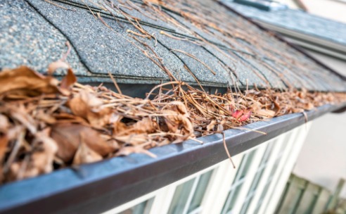 Gutter Cleaning Service Normal IL 