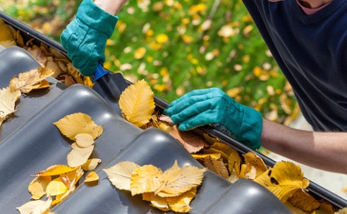 Gutter Cleaning Service East Peoria IL 